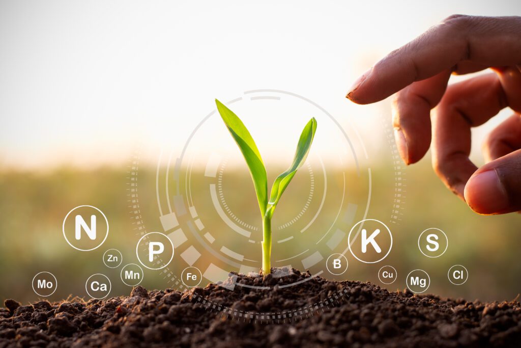 A futuristic image of chemical symbols around a growing plant representing Pivot Bio and how it helps the growing cycle.