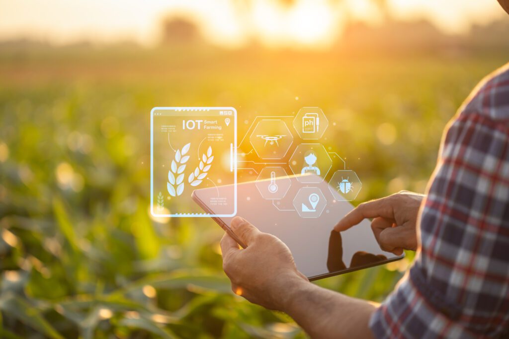 An image of an agricultural consultant on an iPad in a field